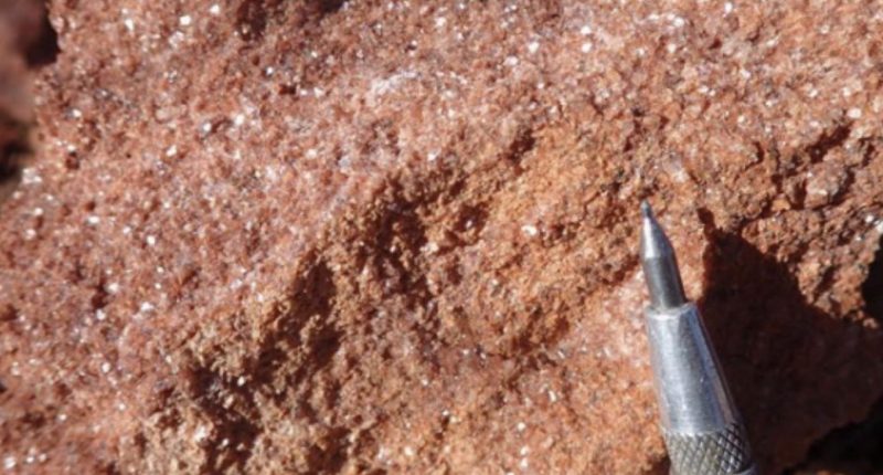 Mica dominant greisen from the Wilsons Prospect outcrops (pen for scale).